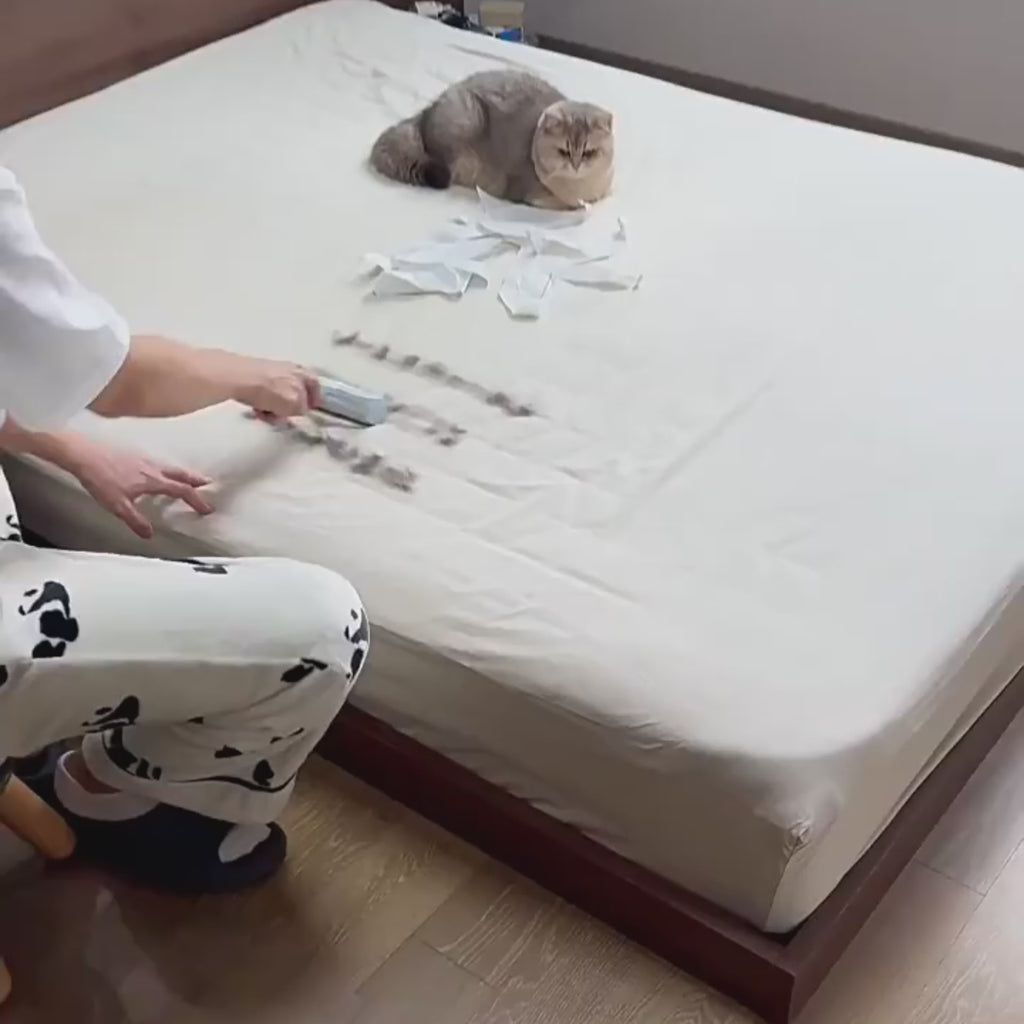 Pet Hair Remover Glove — Deshedding Grooming Mitt
